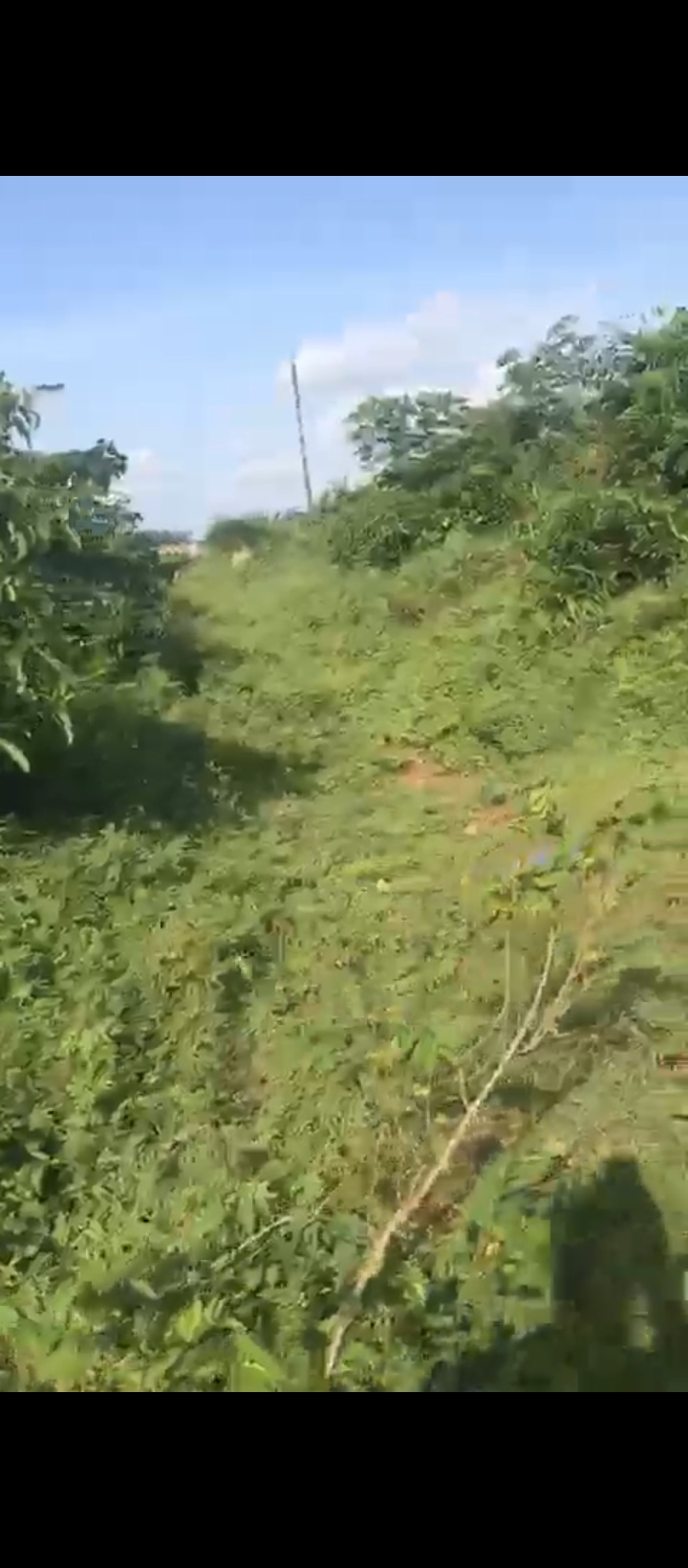 Land for Sale in Sapele road, Edo cover picture