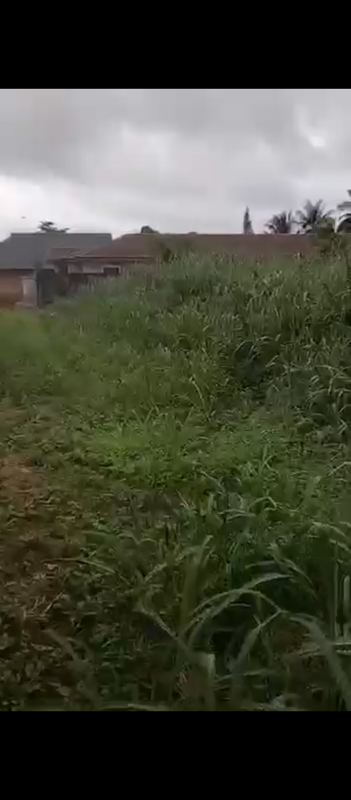 Land for Sale in 2nd ugbor gra, Edo cover picture