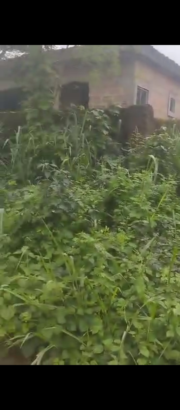 Land for Sale in Ekosoden, Edo cover picture