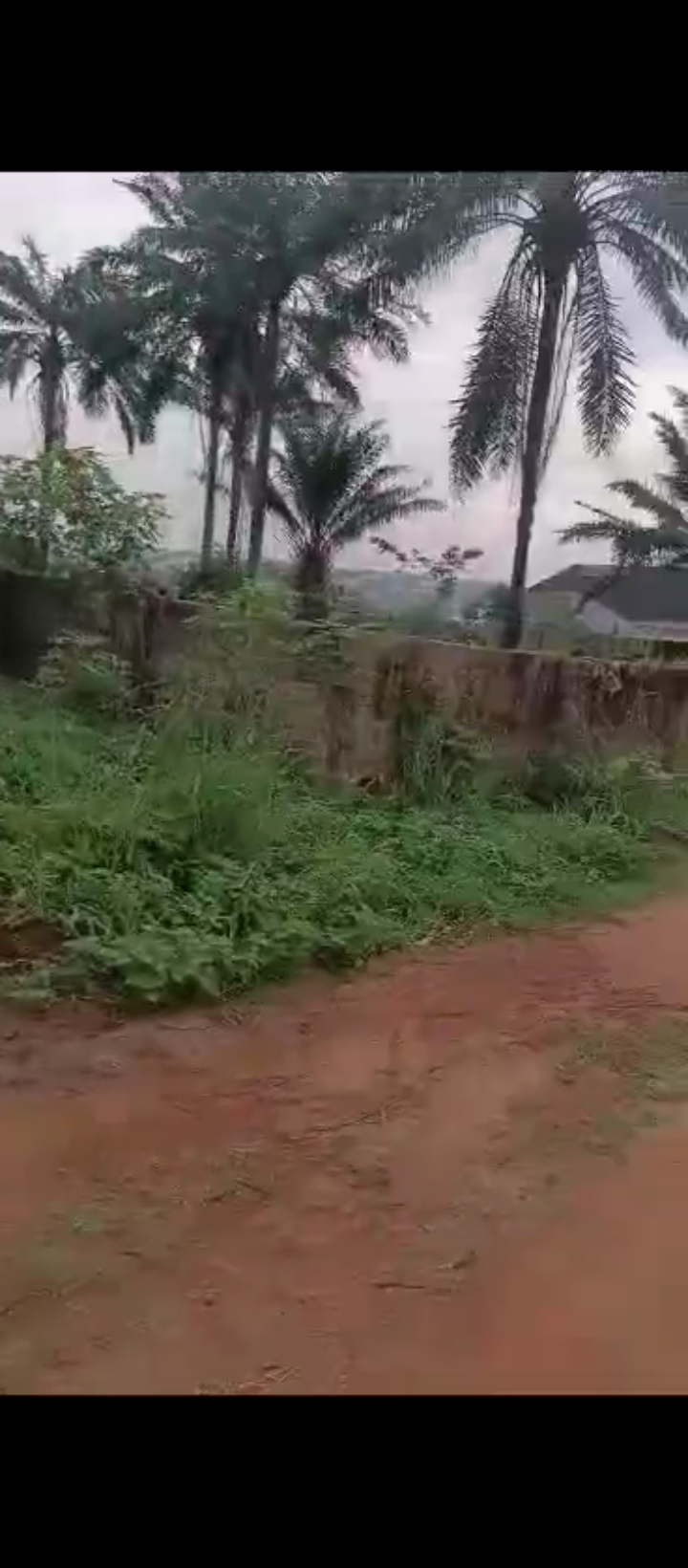 Land for Sale in Airport road, Edo cover picture