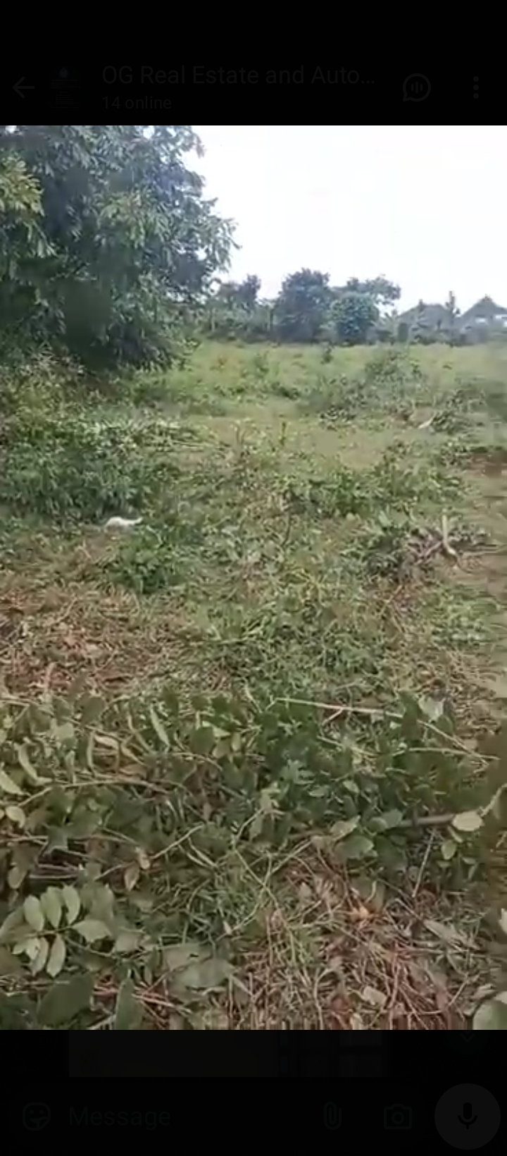 Land for Sale in Sapele road, Edo cover picture