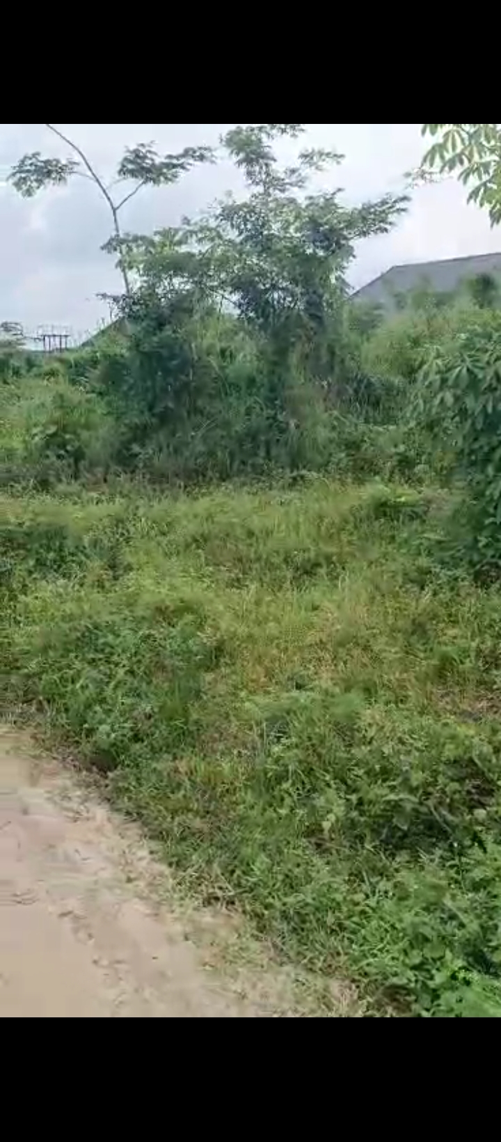Land for Sale in Ogheghe sapele road, Edo cover picture