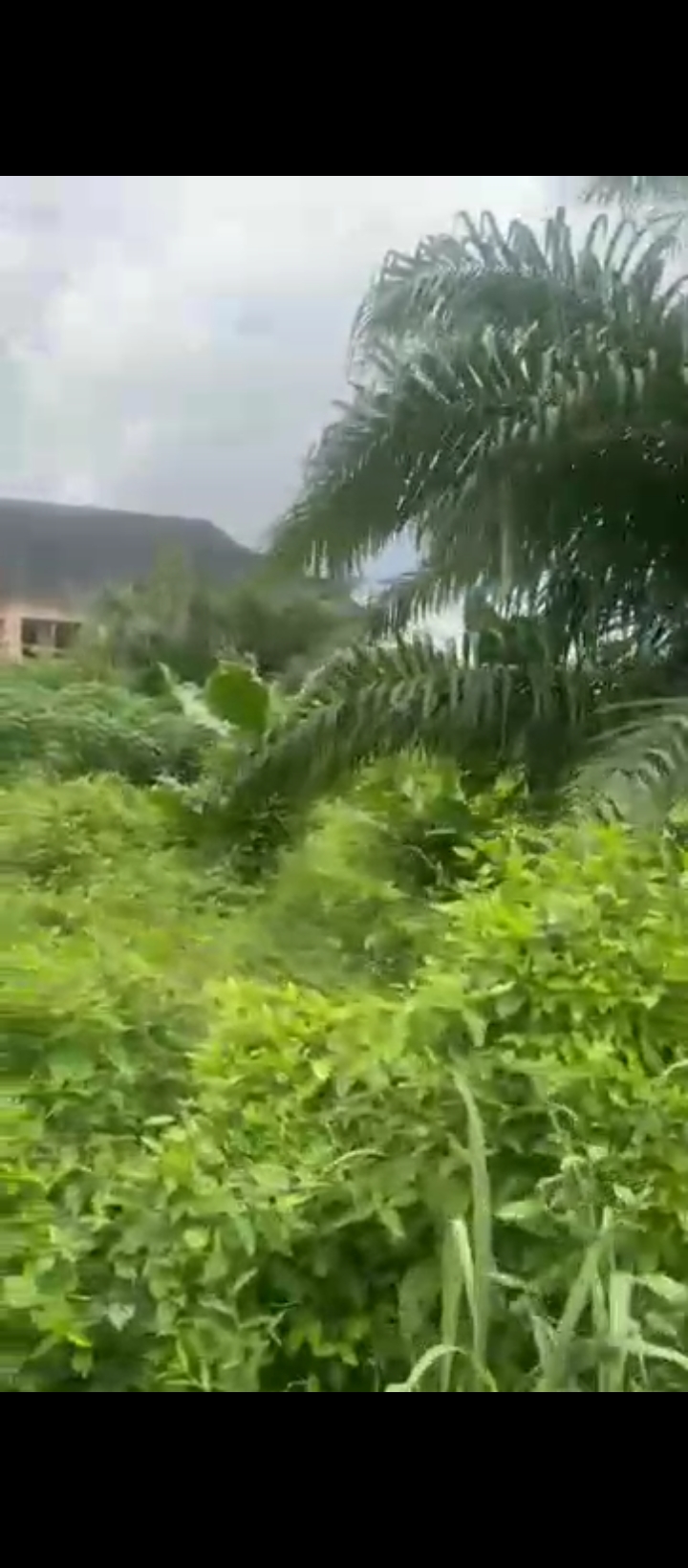 Land for Sale in Evbhuku sapele road, Edo cover picture