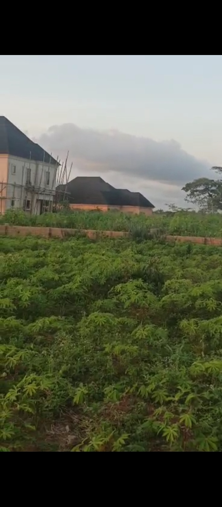 Land for Sale in Iyanomo sapele road bypass, Edo cover picture