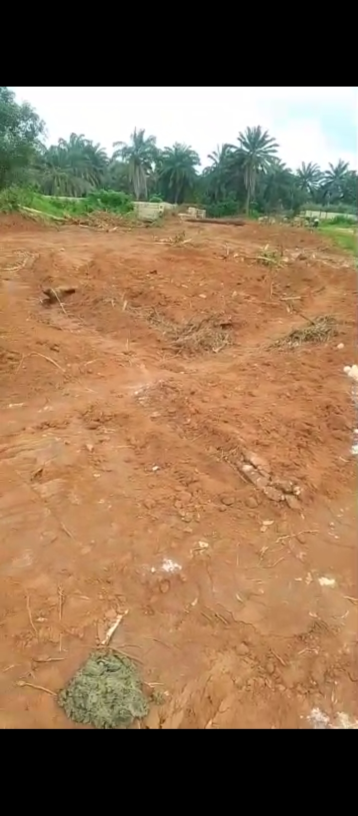 Land for Sale in Falanou country home, Edo cover picture