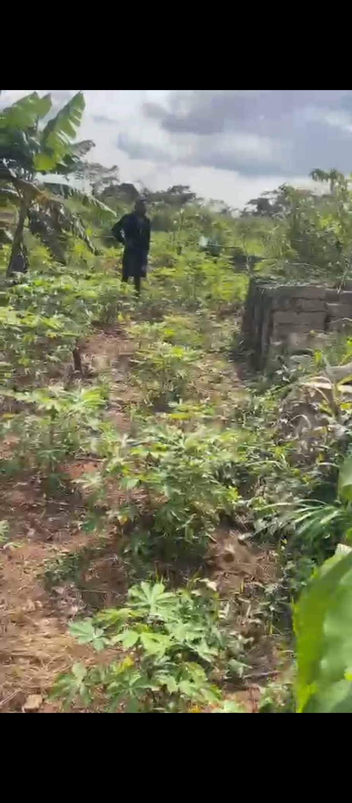 Land in Obagie sapele road Edo cover picture