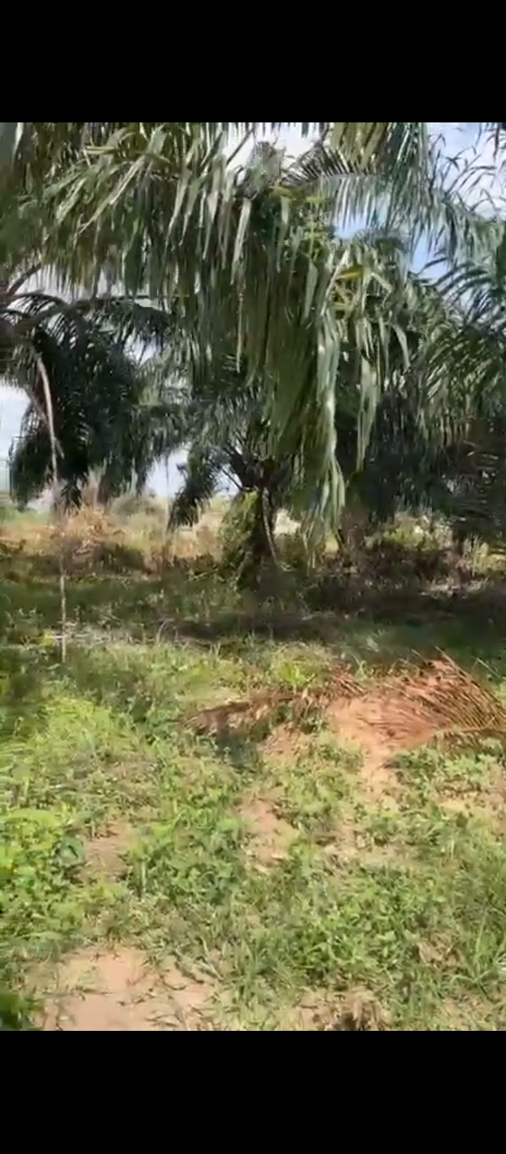 Land for Sale in Sapele road bypass, Edo cover picture