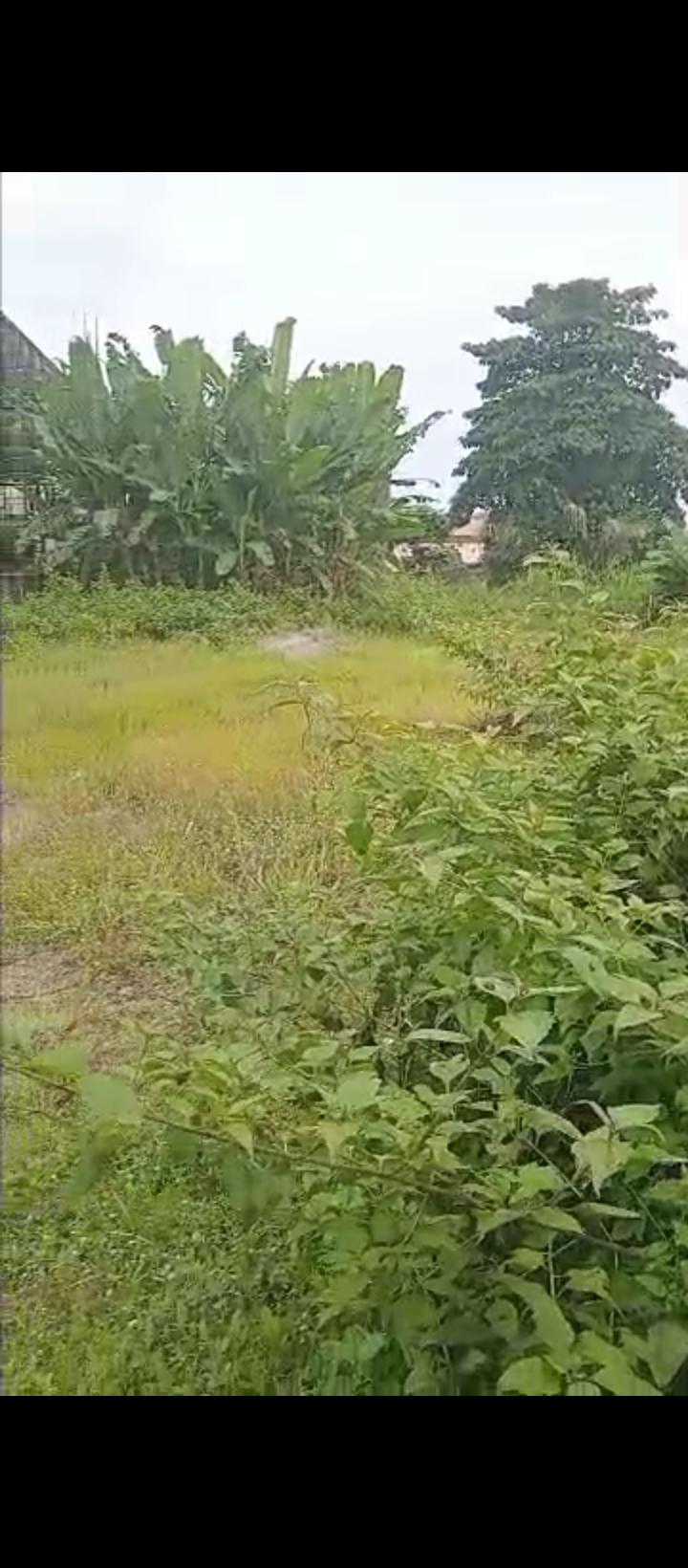 Land for Sale in Gra, Edo cover picture