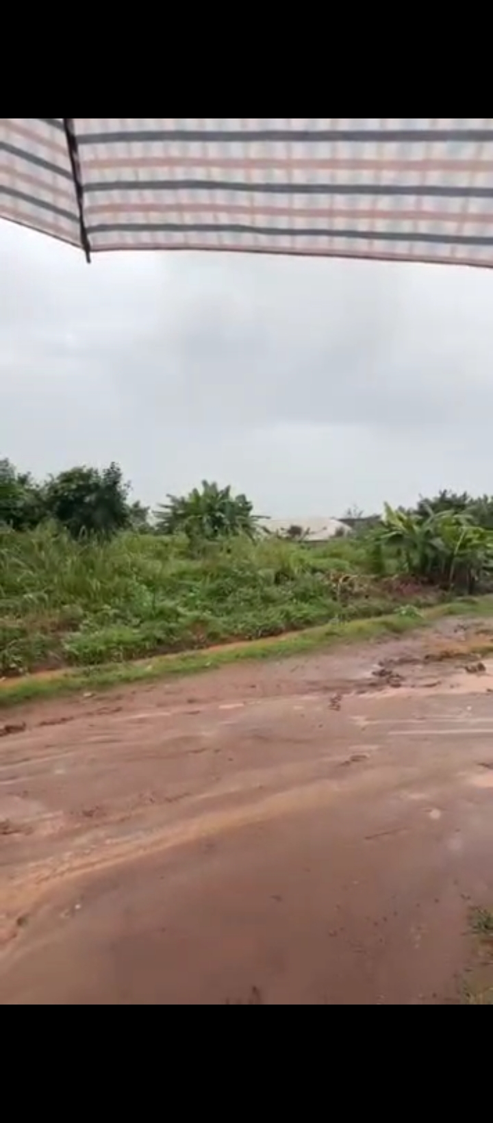 Land for Sale in Airport road extension, Edo cover picture
