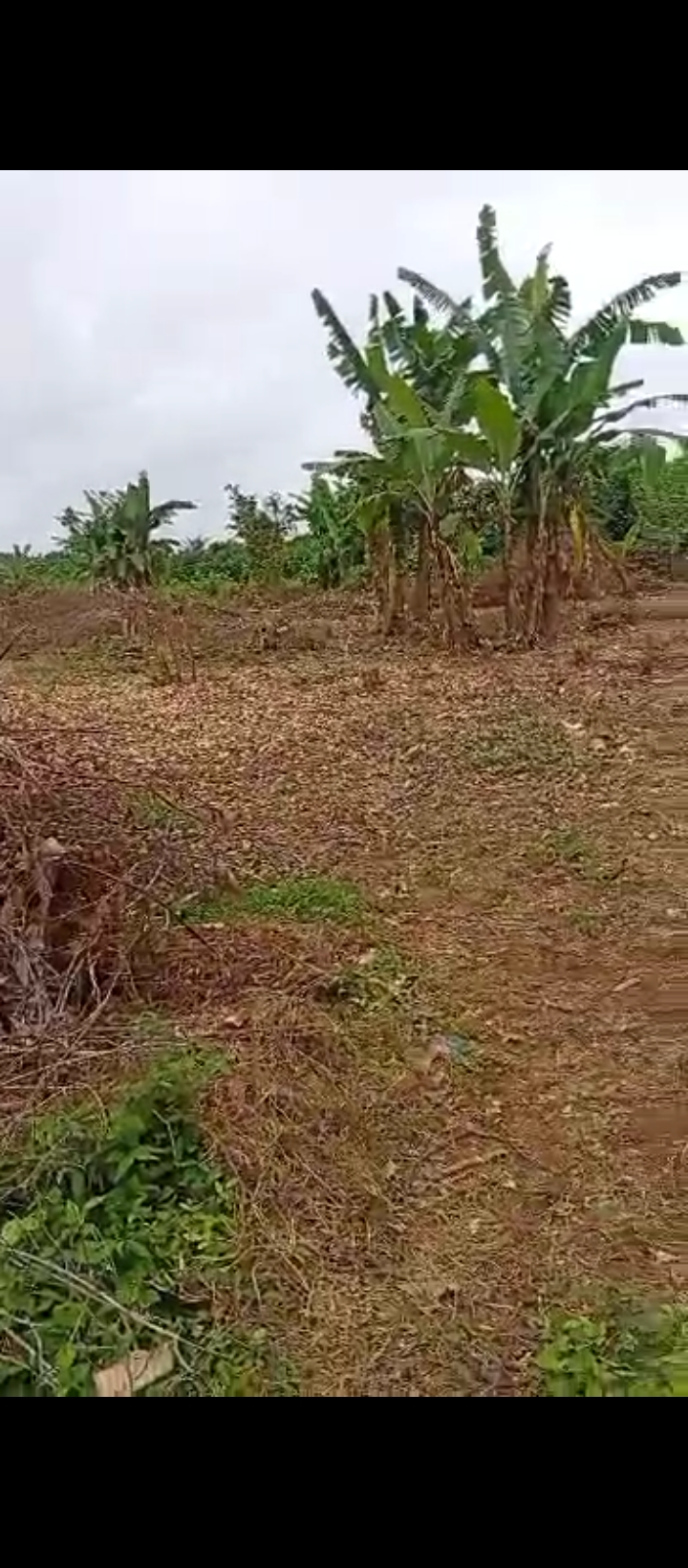 Land for Sale in Ahor community, Edo cover picture