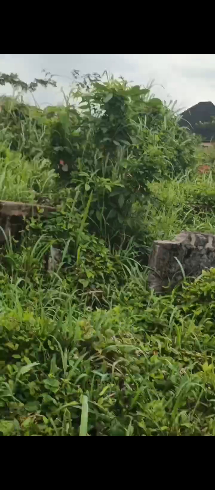 Uncompleted Building for Sale in Ogheghe sapele road, Edo cover picture