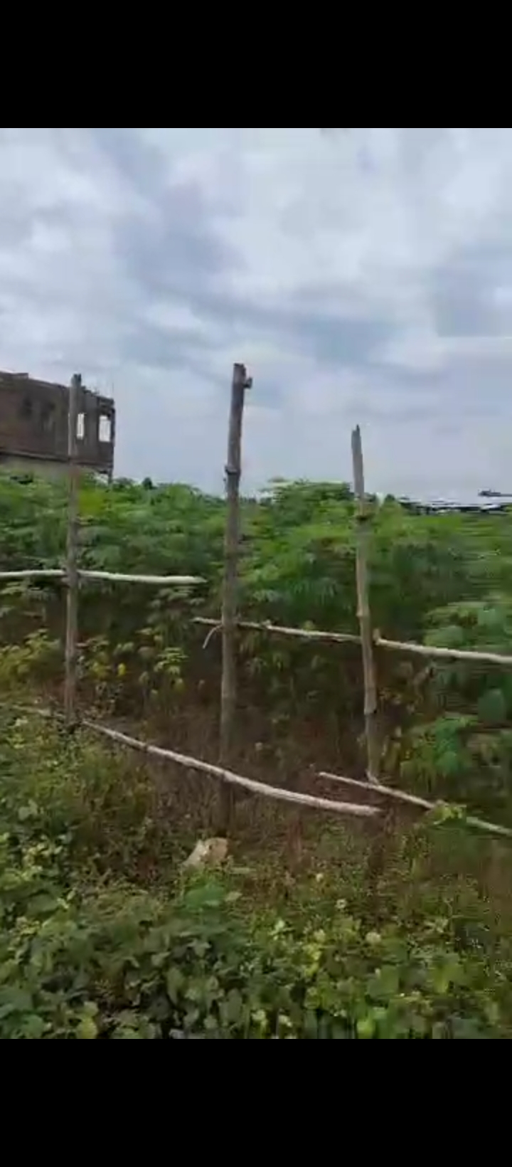 Land for Sale in Amagba, Edo cover picture