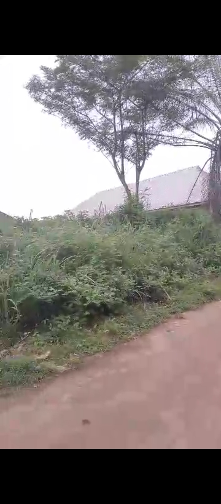 Land for Sale in Arougba airport road, Edo cover picture