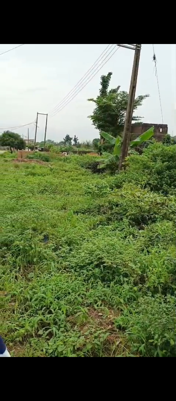 Land for Sale in Country home, Edo cover picture