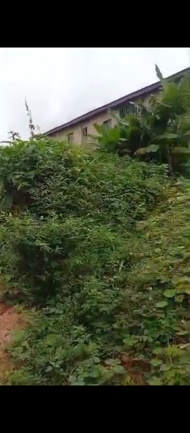 Land for Sale in Ekehuan road, Edo cover picture