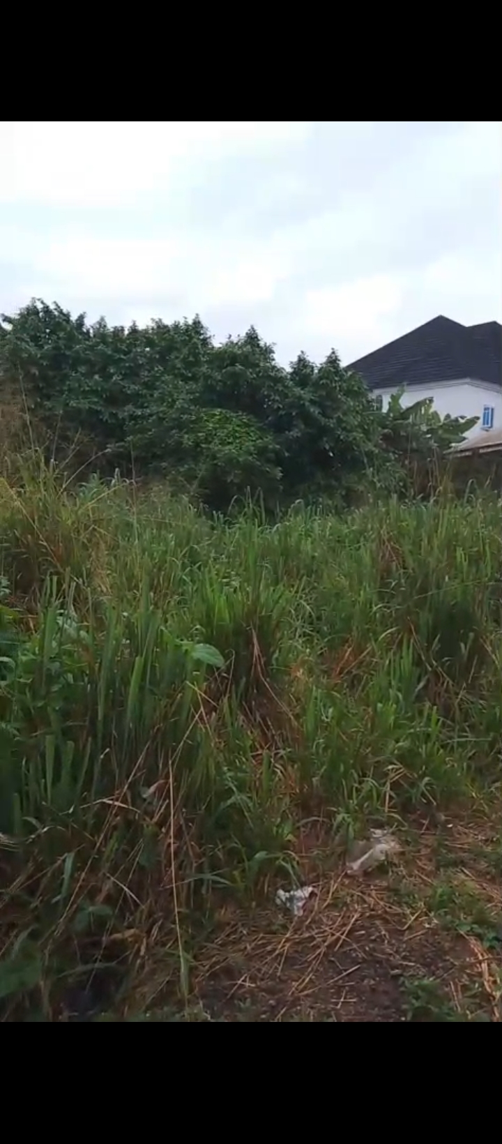 Land for Sale in Ugbor, Edo cover picture