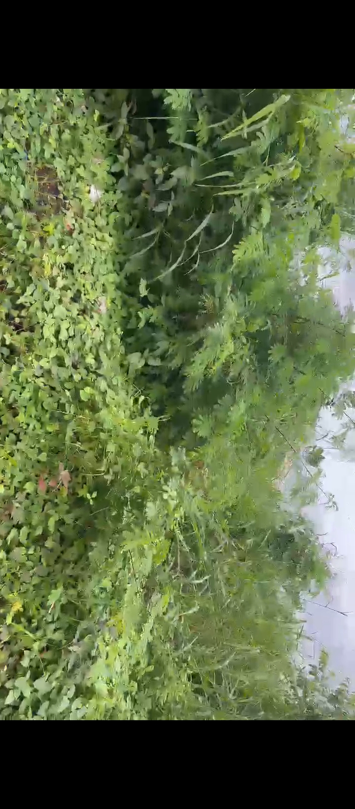 Land for Sale in Benin Lagos road, Edo cover picture