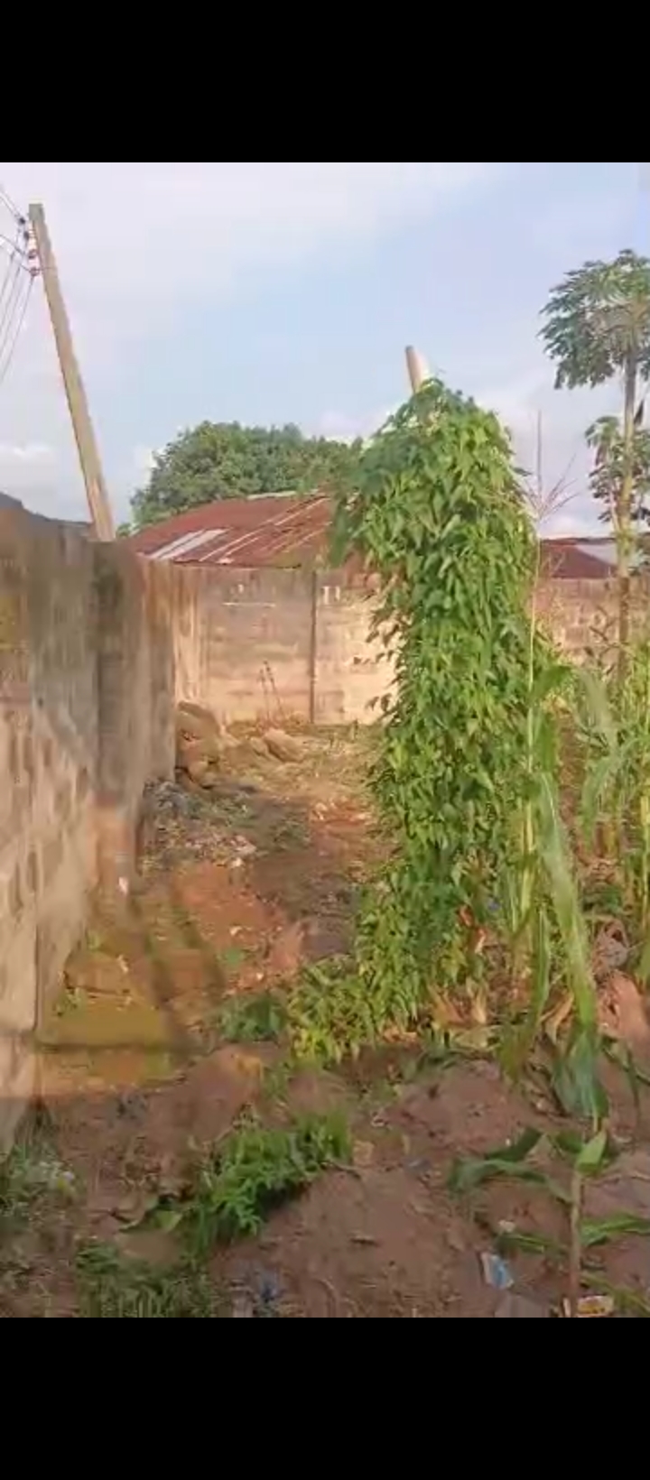 Land for Sale in Iriri airport road, Edo cover picture