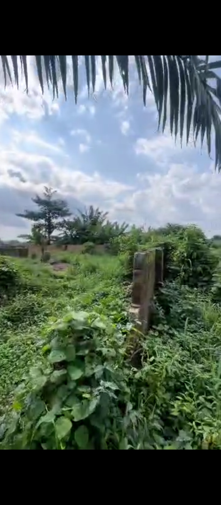 Land for Sale in Amagba, Edo cover picture