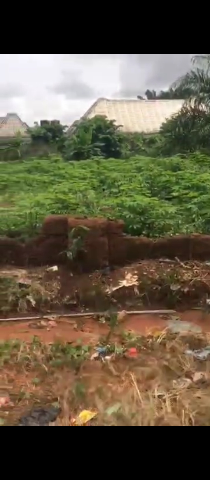 Land in Oluku Edo cover picture