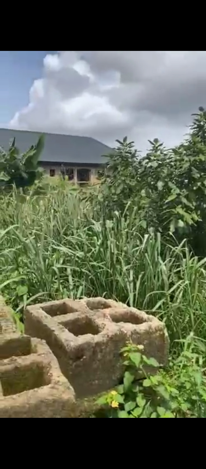 Land for Sale in Ugbor central, Edo cover picture