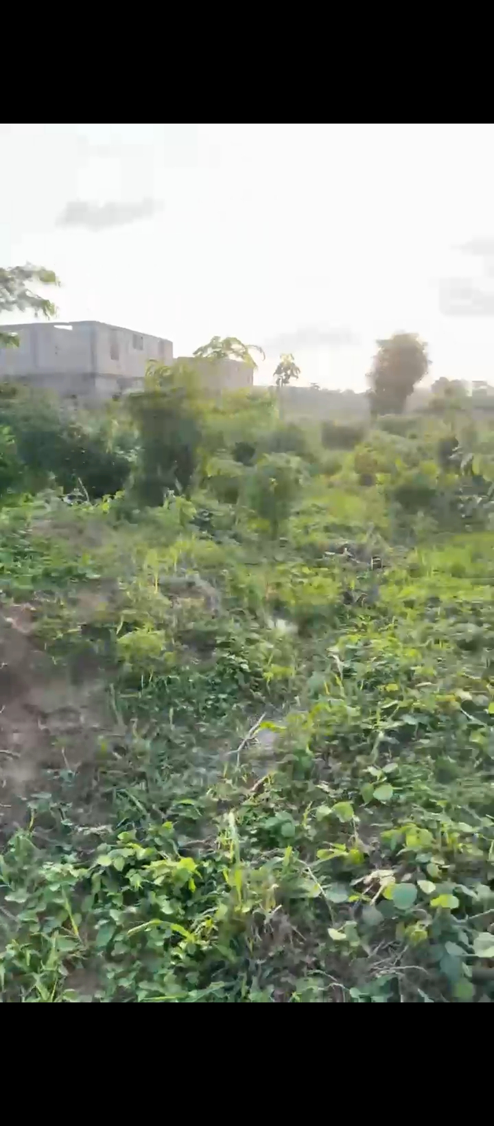 Land for Sale in Amagba, Edo cover picture