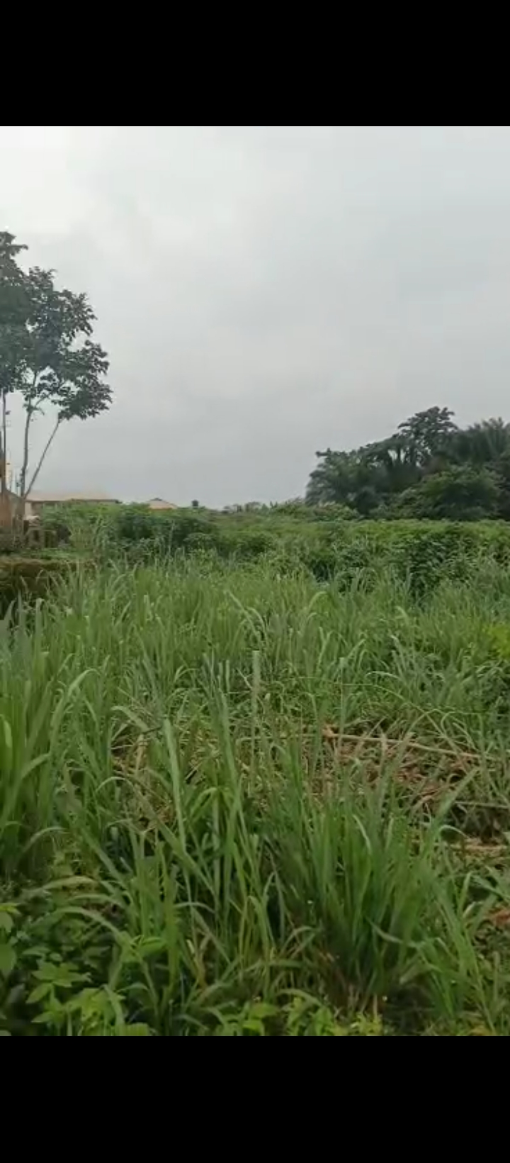 Land for Sale in Airport road, Edo cover picture