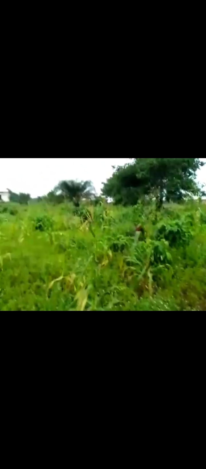 Land for Sale in Obazagbon/airport road, Edo cover picture