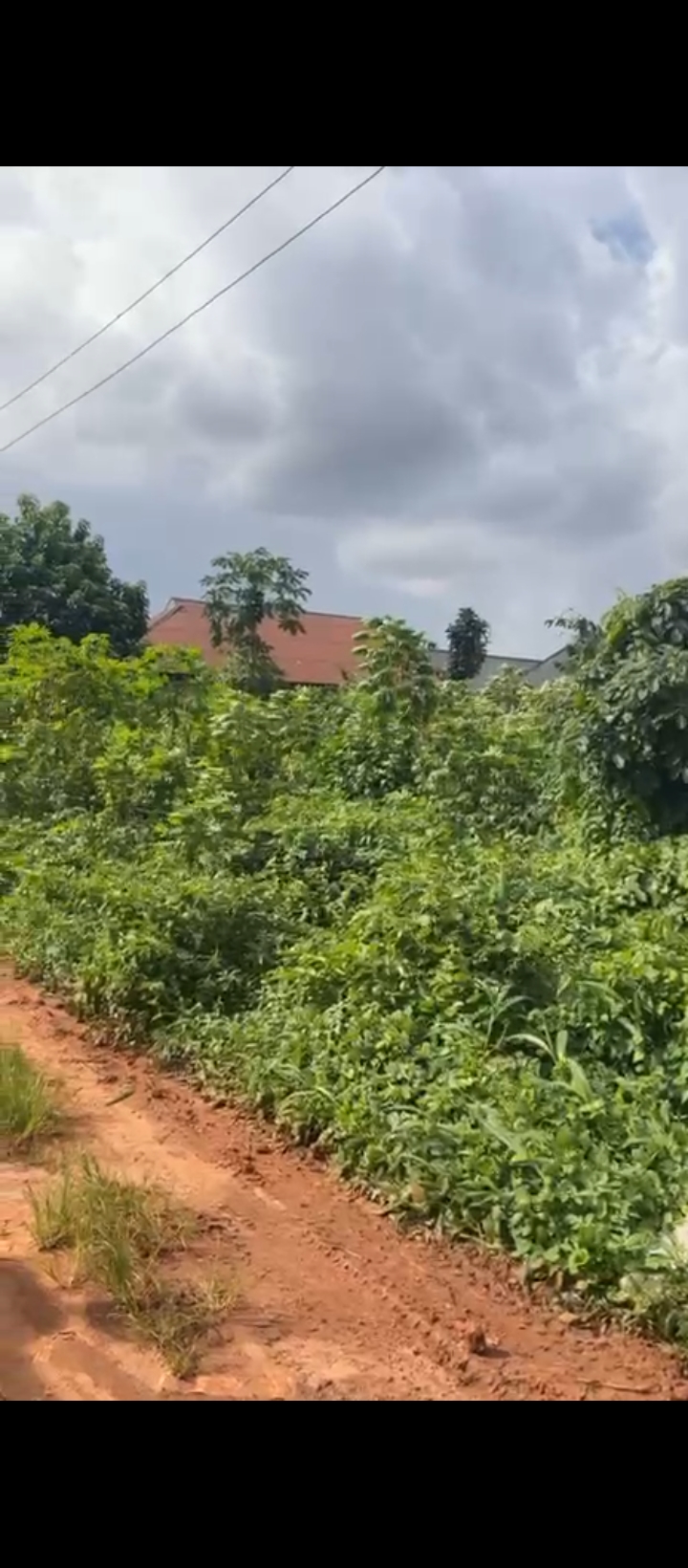 Land for Sale in Iguhomon agbor road bypass, Edo cover picture