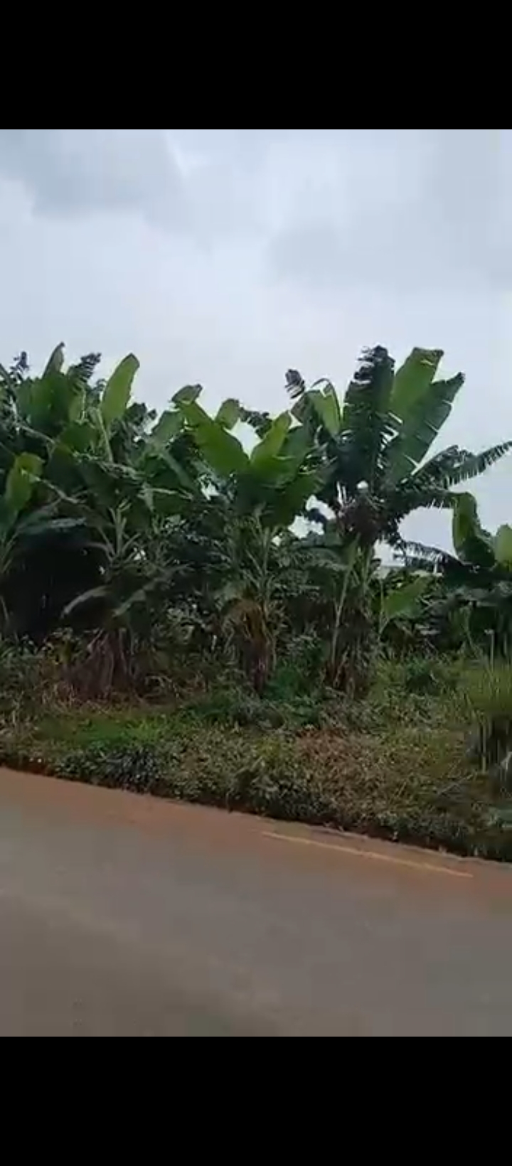 Land for Sale in Iriri, Edo cover picture