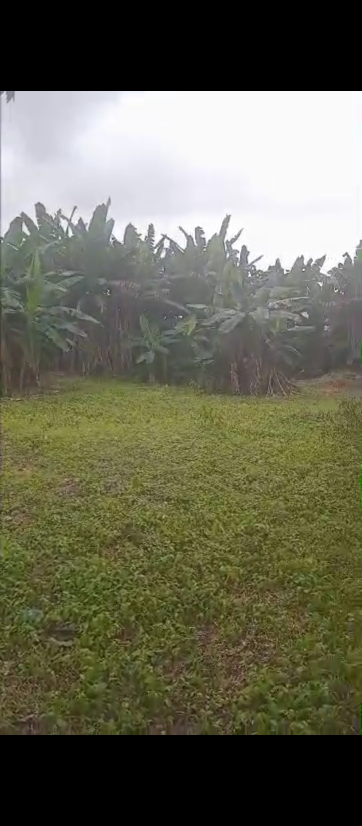 Land for Sale in 1st ugbor gra, Edo cover picture