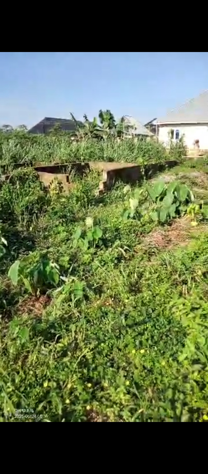 Land for Sale in Obagie sapele road, Edo cover picture