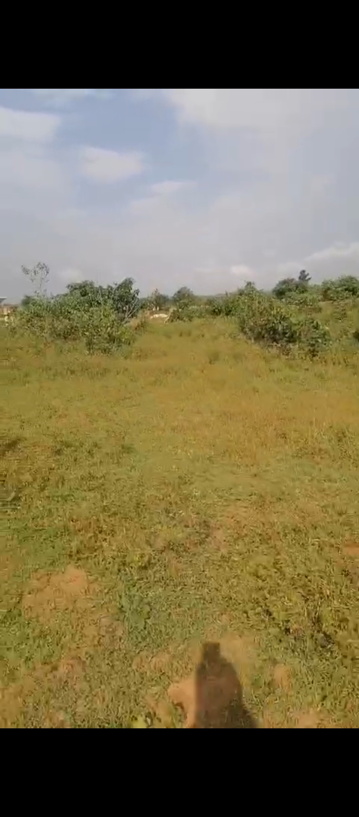 Land for Sale in Obagie, Edo cover picture