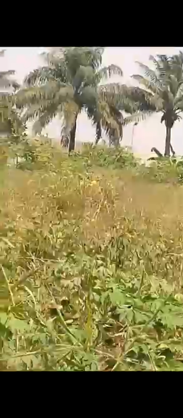 Land in Iguosa oluku Edo cover picture