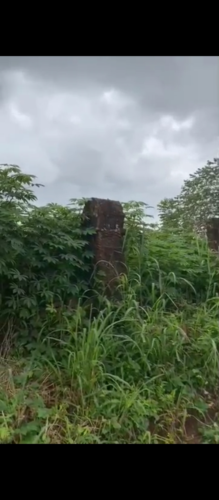 Land for Sale in Ugbor, Edo cover picture