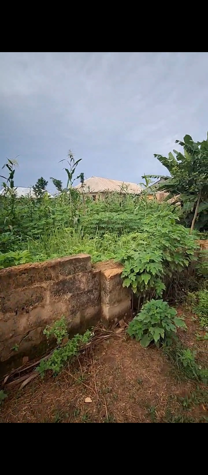 Land for Sale in Ahor, Edo cover picture