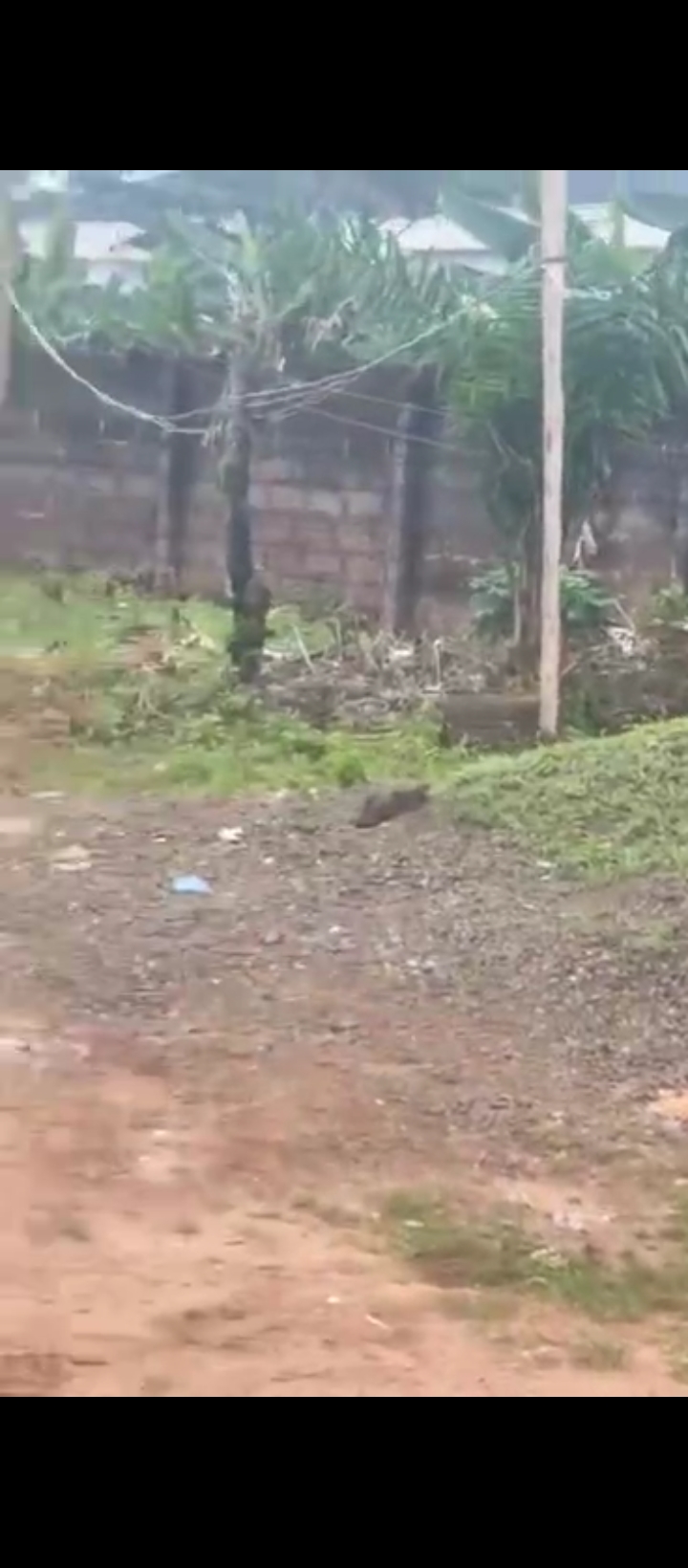 Land for Sale in 2nd ugbor, Edo cover picture