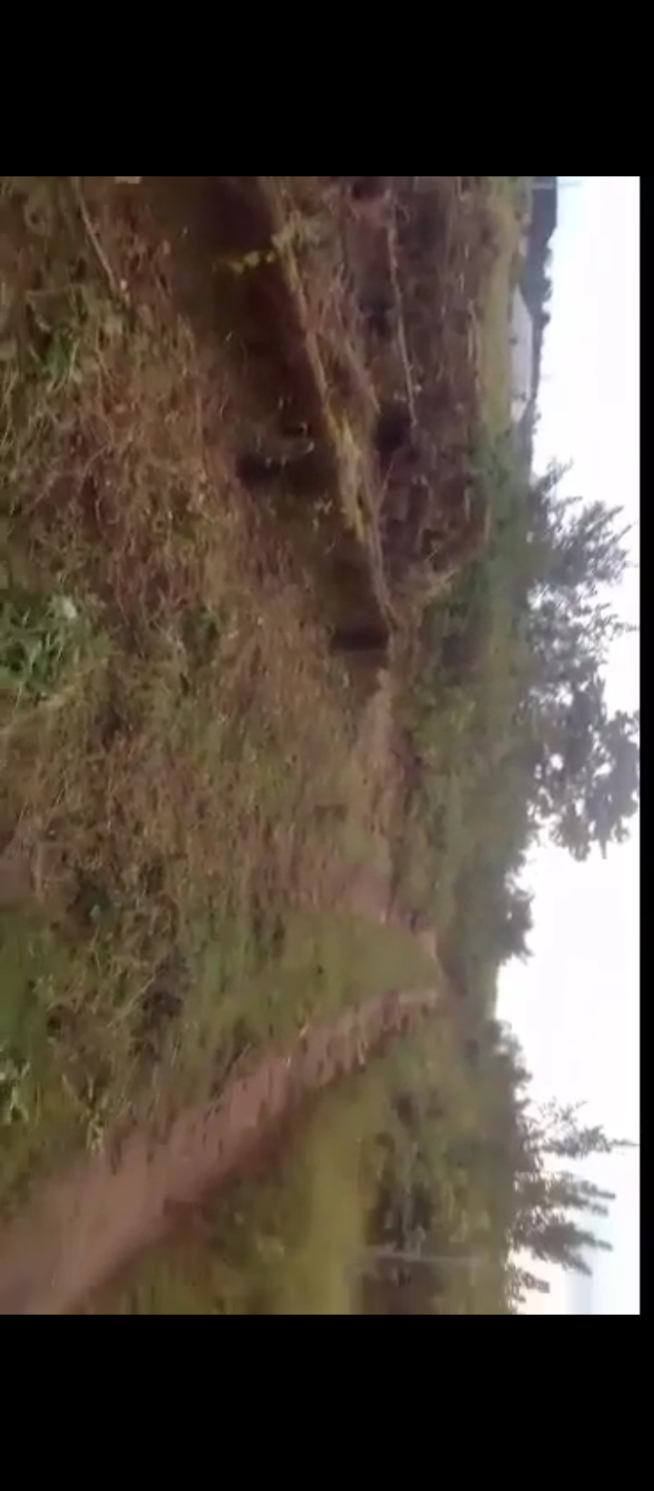 Land for Sale in Amagba river side, Edo cover picture