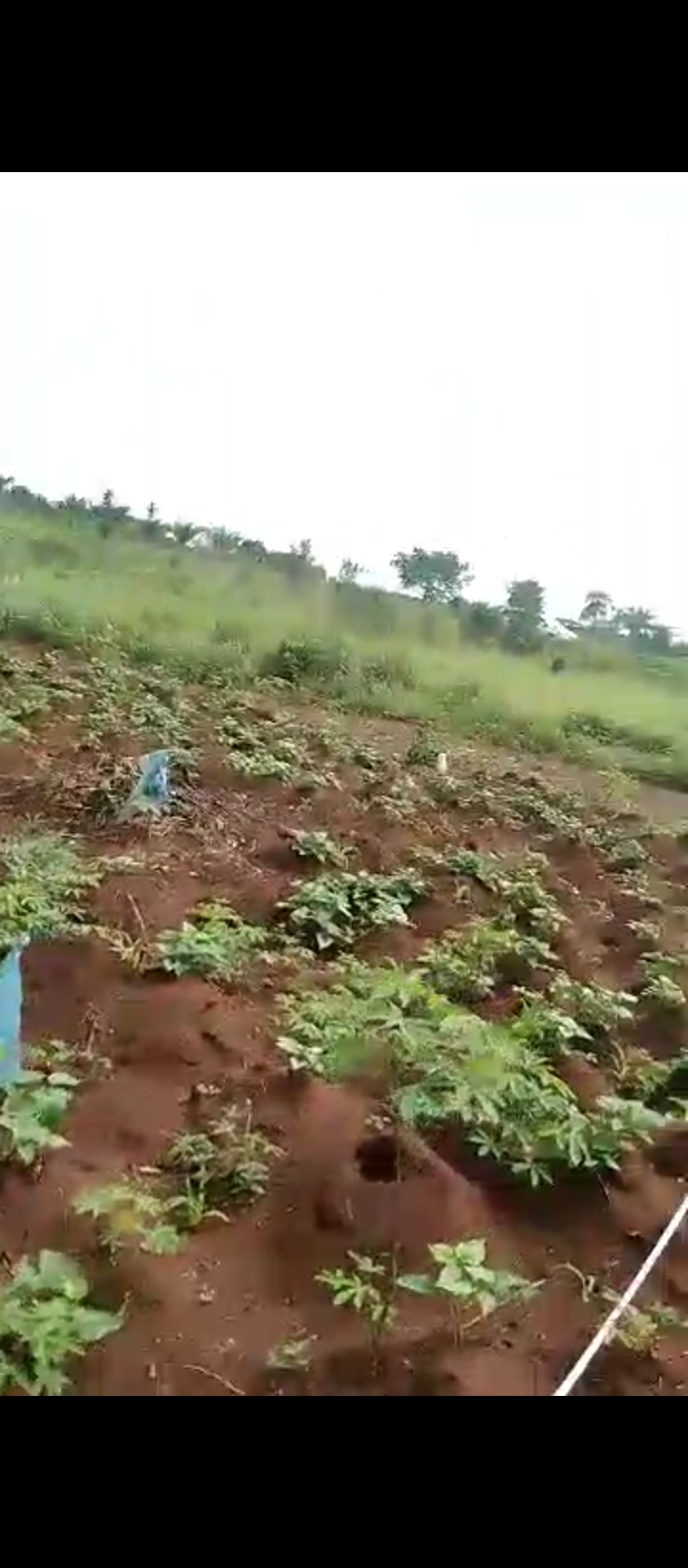 Land for Sale in Benin agbor road, Edo cover picture