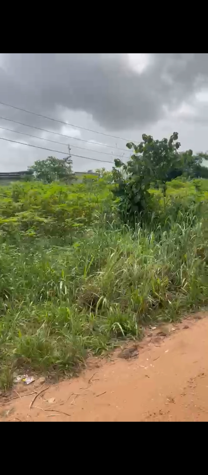 Land for Sale in Rubber research sapele road, Edo cover picture