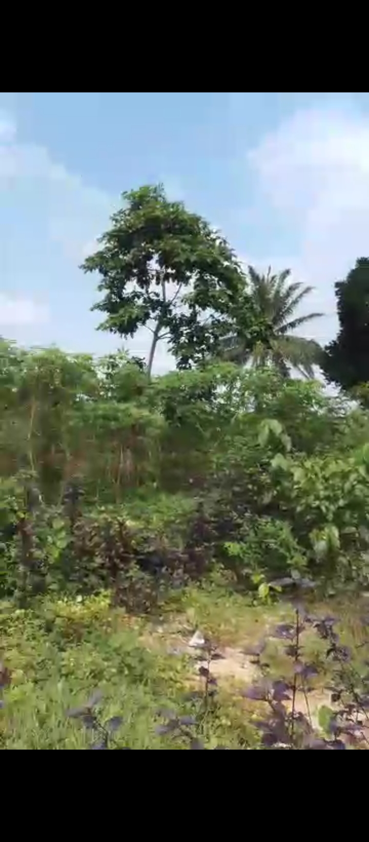 Land for Sale in Upper mission extension, Edo cover picture