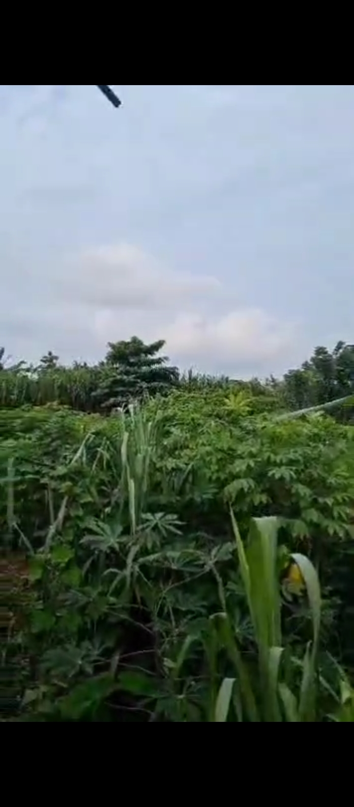 Land for Sale in Isihor, Edo cover picture