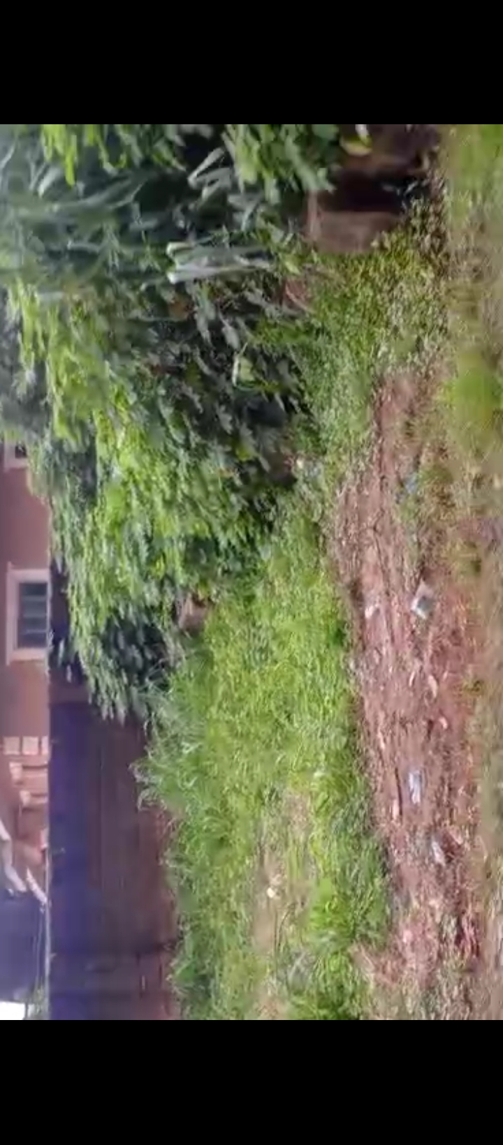 Land for Sale in Amagba, Edo cover picture