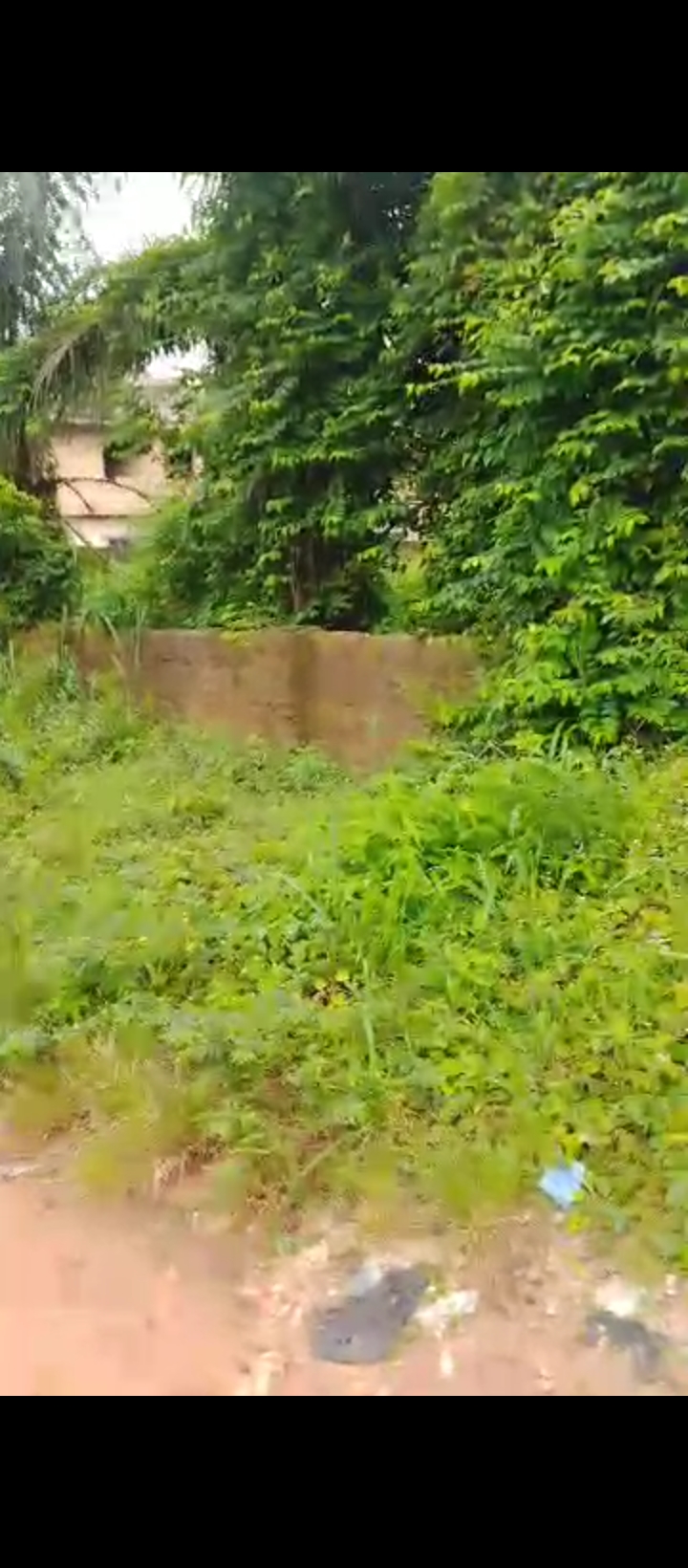 Land for Sale in Ogunwemnyi/ugbor, Edo cover picture