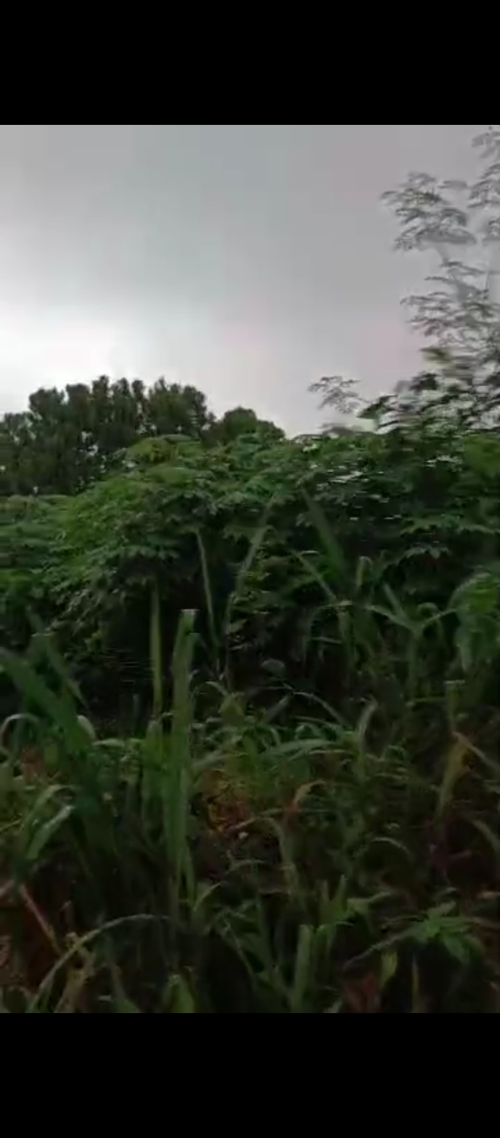 Land for Sale in Ebo airport road, Edo cover picture