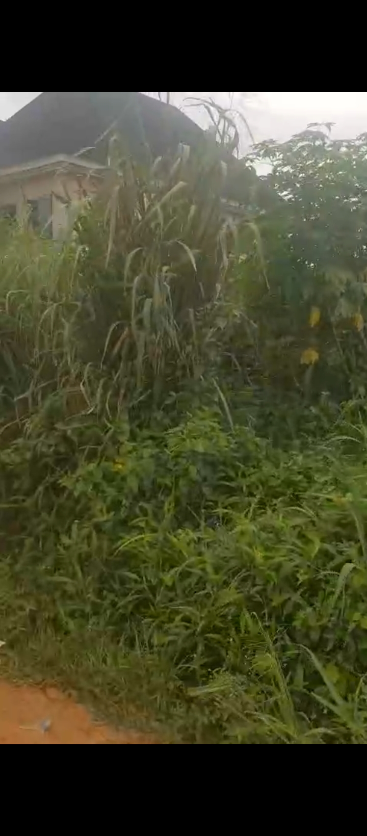 Land for Sale in Arougba airport road, Edo cover picture