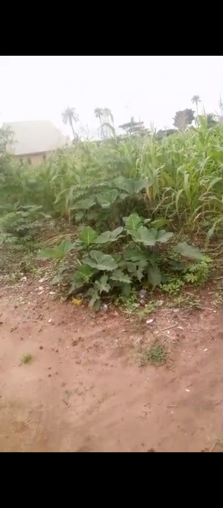 Land for Sale in Ukezi community ekehuan road, Edo cover picture