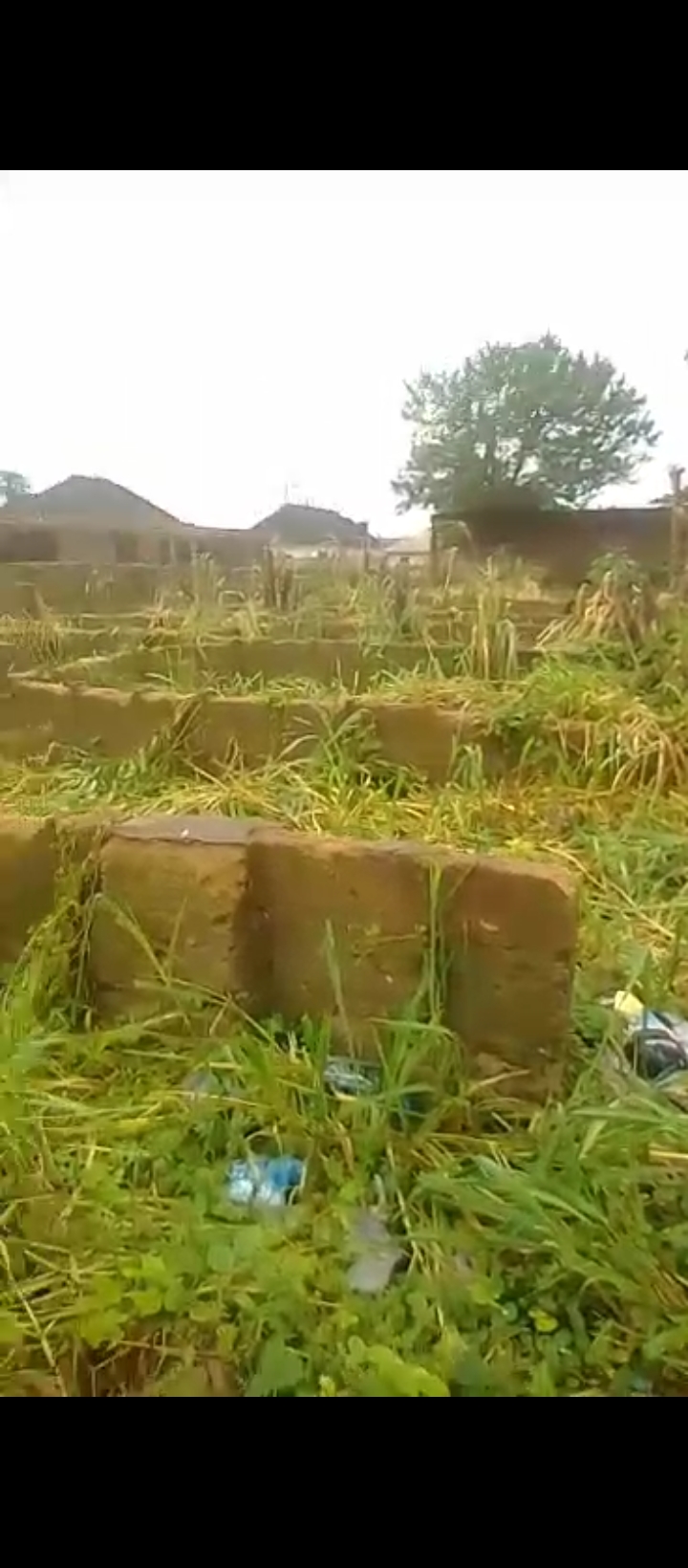 Land for Sale in Arougba airport road, Edo cover picture