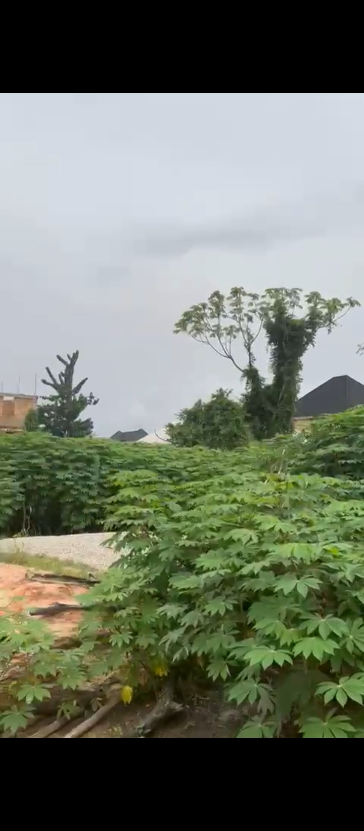 Land for Sale in Off airport road, Edo cover picture