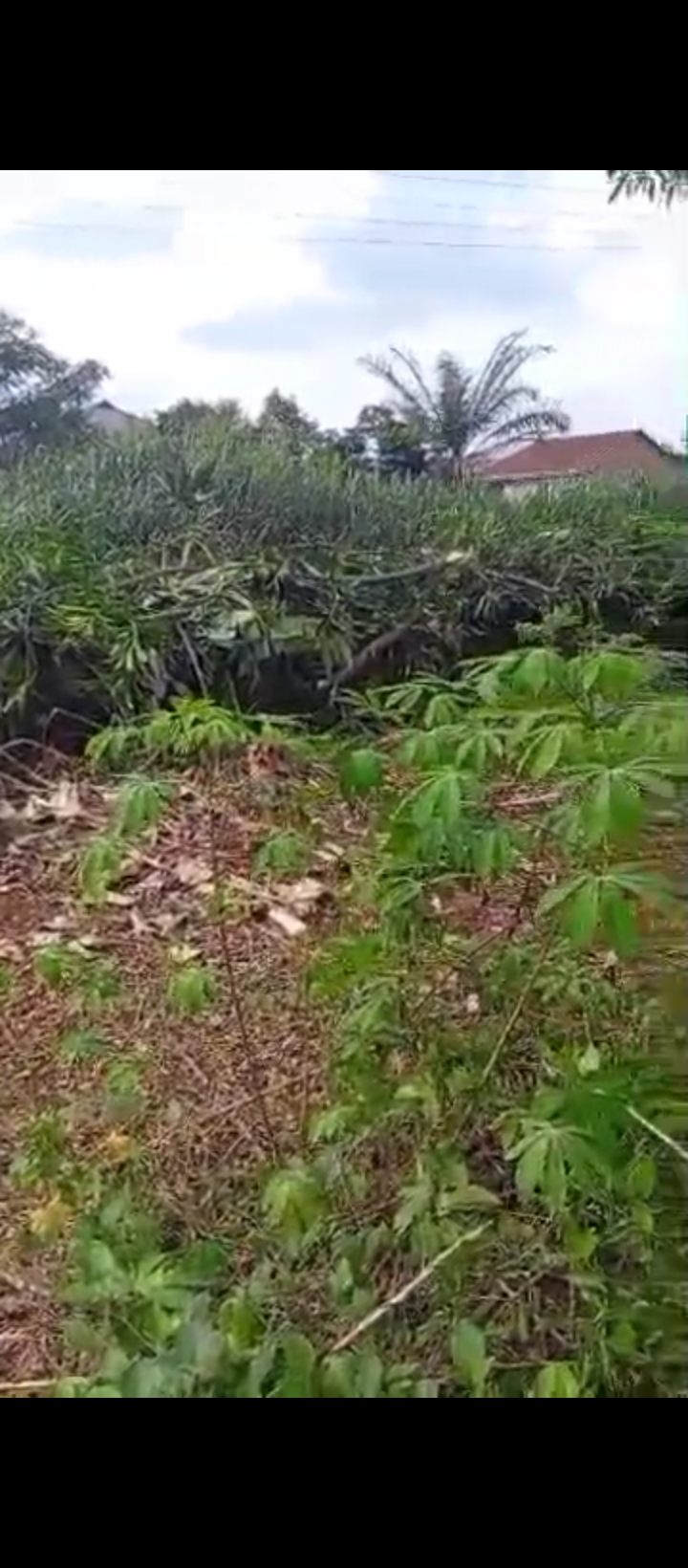 Land for Sale in Convernant road, Edo cover picture